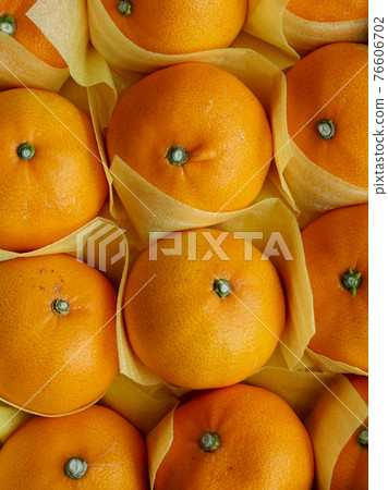 Fresh organic fruit tangerine, Cheonhyehyang Fresh organic fruit tangerine, Cheonhyehyang 76606702