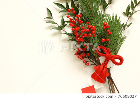 A pine tree 76609027