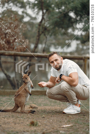 Man in the reserve is playing with a kangaroo Man in the reserve is playing with a kangaroo 76610158