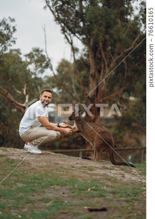 Man in the reserve is playing with a kangaroo 76610165