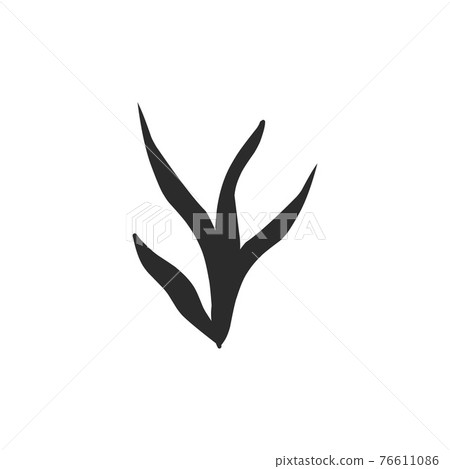 silhouette contour plants seaweed algae aquatic water plant, grass for aquarium. isolated vector hand drawn illustration in doodle style. 76611086