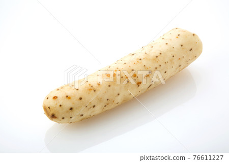 白底長土豆 白底長土豆 76611227