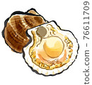 Scallops that look delicious 76611709