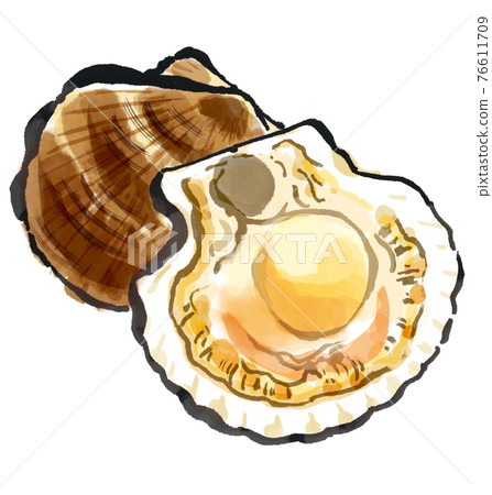 Scallops that look delicious 76611709