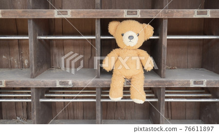 坐在鞋盒裡的熊 76611897