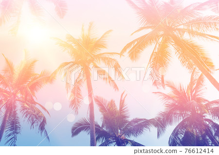 Tropical palm coconut trees on sunset sky flare and bokeh nature background. Tropical palm coconut trees on sunset sky flare and bokeh nature background. 76612414