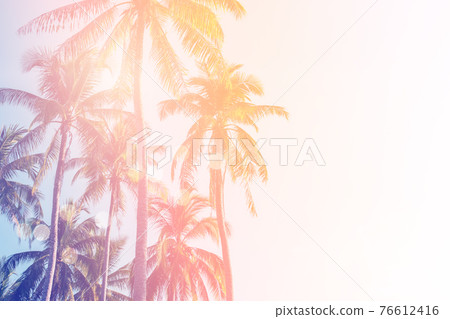 Tropical palm coconut trees on sunset sky flare and bokeh nature background. Tropical palm coconut trees on sunset sky flare and bokeh nature background. 76612416