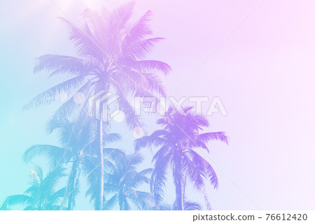 Tropical palm coconut trees on sunset sky flare and bokeh nature background. Tropical palm coconut trees on sunset sky flare and bokeh nature background. 76612420