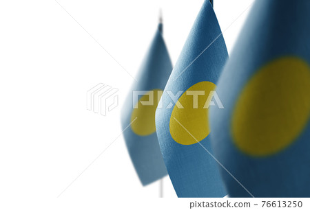 Small national flags of the Palau on a white background Small national flags of the Palau on a white background 76613250
