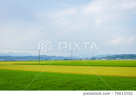 Rural scenery on a summer day Rural scenery on a summer day 76613502