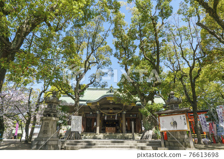 Naniwa Kozu Shrine (Kozu Shrine) Haiden 2021 年 3 月 Sakura Spring 76613698
