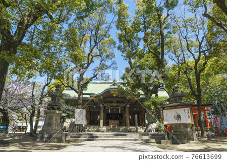 Naniwa Kozu Shrine (Kozu Shrine) Haiden 2021 年 3 月 Sakura Spring Naniwa Kozu Shrine (Kozu Shrine) Haiden 2021 年 3 月 Sakura Spring 76613699