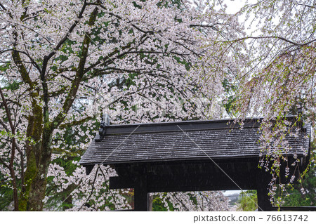Kakudate Bukeyashiki Street 18 76613742