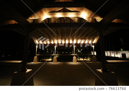 Resort Hotel 76613768