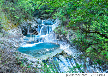 Nishizawa Valley in the fresh green season 76613961