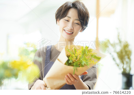 雌性含羞草 76614220
