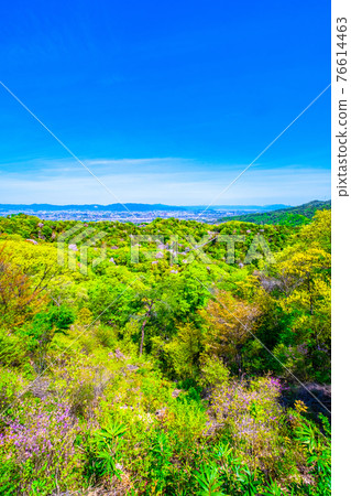 縣立森林 星田庭園的新綠 76614463