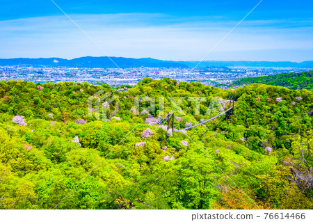 Prefectural Forest Fresh green of Hoshida Garden Prefectural Forest Fresh green of Hoshida Garden 76614466
