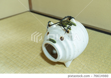 蚊子仔豬 蚊子仔豬 76614980