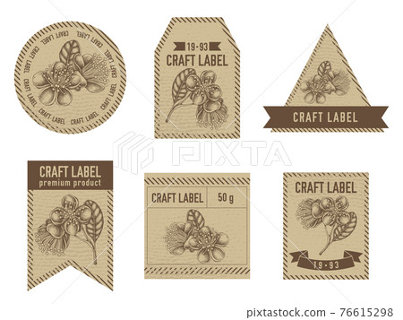Craft labels vintage design with illustration of feijoa flowers Craft labels vintage design with illustration of feijoa flowers 76615298