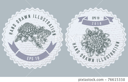 Monochrome labels design with illustration of etlingera 76615338