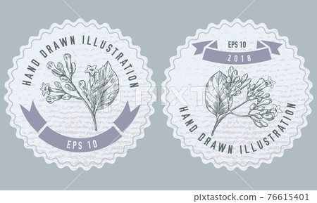 Monochrome labels design with illustration of cinchona Monochrome labels design with illustration of cinchona 76615401