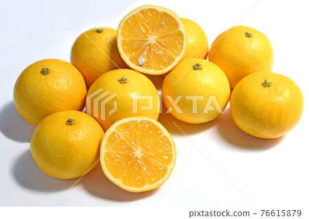 Citrus (Shonan Gold) 76615879