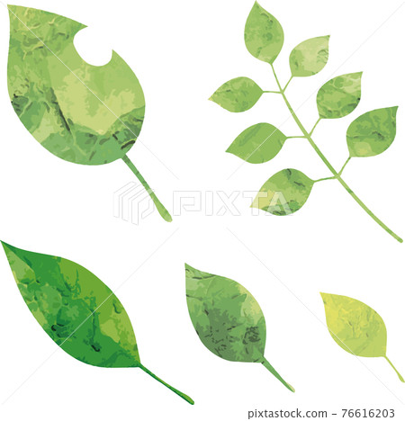 Summer botanical plant leaf green watercolor silhouette illustration material set Summer botanical plant leaf green watercolor silhouette illustration material set 76616203