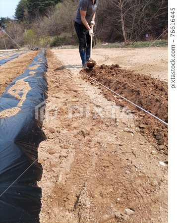 Spring farming digging Spring farming digging 76616445