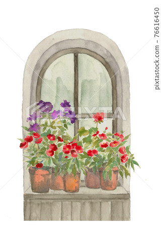 Potted plant on the windowsill [Watercolor illustration] White background PNG 76616450