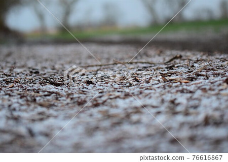 Snowy wood chips on the ground as a closeup with different focuses and trees and fields in the background 76616867