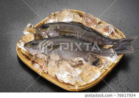 Grunt full of seasonal sizzle in early summer 76617934