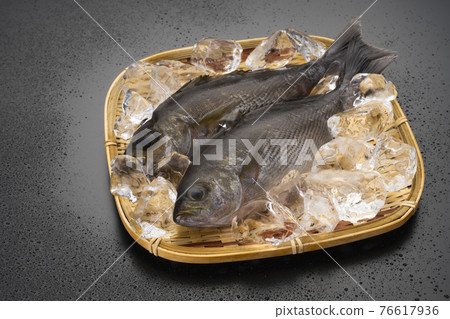 Grunt full of seasonal sizzle in early summer 76617936