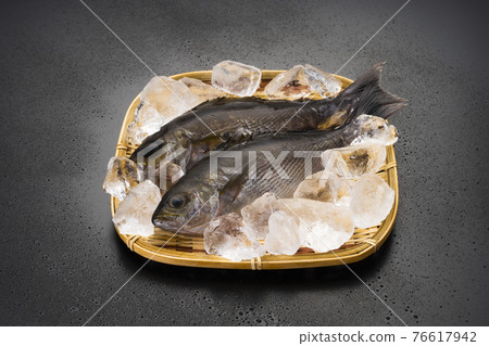 初夏充滿季節性嘶嘶聲的咕嚕聲 76617942