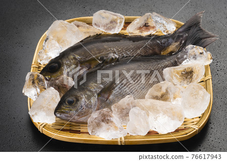 Grunt full of seasonal sizzle in early summer 76617943