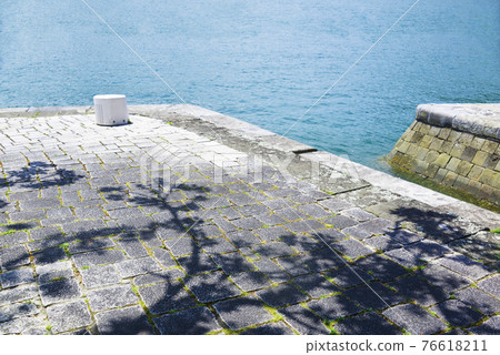 Sea cobblestone botanical 76618211