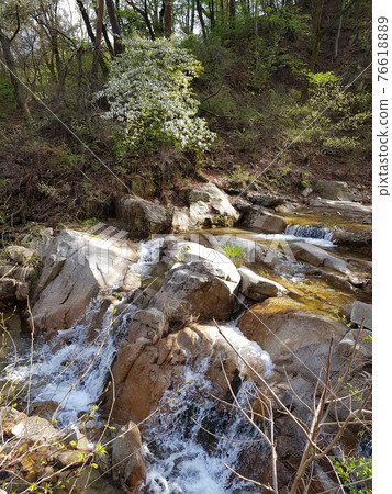 Bukhansan. National park. Trail. Pine trees. Leaves 76618889