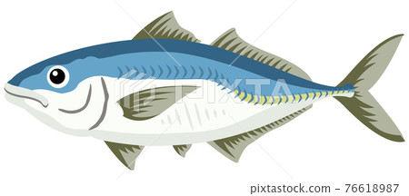 【向量圖】手繪風格的竹莢魚插圖。一條完整的新鮮竹莢魚,適合煎炸或燒烤,白色背景上的鏤空素材。 【向量圖】手繪風格的竹莢魚插圖。一條完整的新鮮竹莢魚,適合煎炸或燒烤,白色背景上的鏤空素材。 76618987