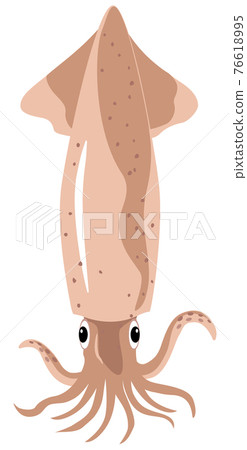 海鮮/魷魚 76618995