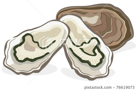 Shellfish / oysters 76619073