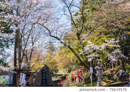 Mizusawa Kanzeon in spring Mizusawa Kanzeon in spring 76619576