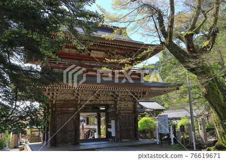 Kegonji Temple, Kegonji Temple (Spring) 76619671