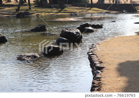 Expo'70 紀念公園 春天公園風景[大阪府] 76619765