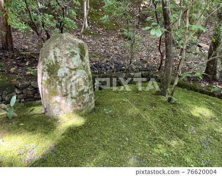 一個石雕像在森林裡 76620004