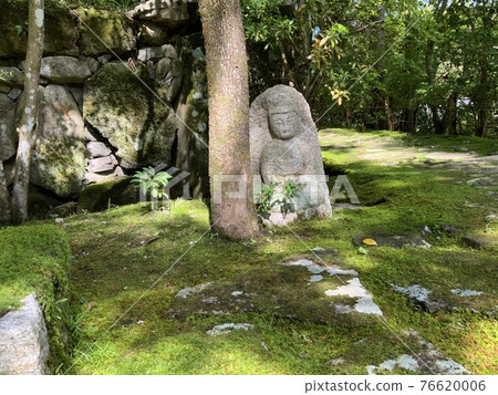 樹和石像 76620006