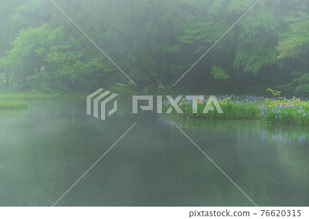 滋賀縣高島市今津市Hikibu蝦群落在清晨 滋賀縣高島市今津市Hikibu蝦群落在清晨 76620315