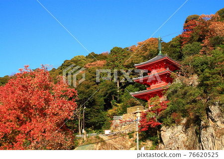 岐阜市岐阜公園秋葉與三層寶塔景色 岐阜市岐阜公園秋葉與三層寶塔景色 76620525