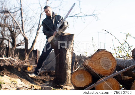A man lumberjack is sawing a tree with a chainsaw. The sawdust is thrown straight into the screen. Farmer at work. Grubbing old trees. The concept of deforestation and the active work of the industry 76620793
