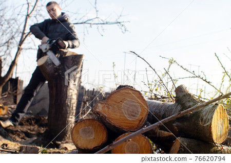 A man lumberjack is sawing a tree with a chainsaw. The sawdust is thrown straight into the screen. Farmer at work. Grubbing old trees. The concept of deforestation and the active work of the industry 76620794