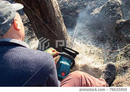 A man lumberjack is sawing a tree with a chainsaw. The sawdust is thrown straight into the screen. Farmer at work. Grubbing old trees. The concept of deforestation and the active work of the industry 76620808